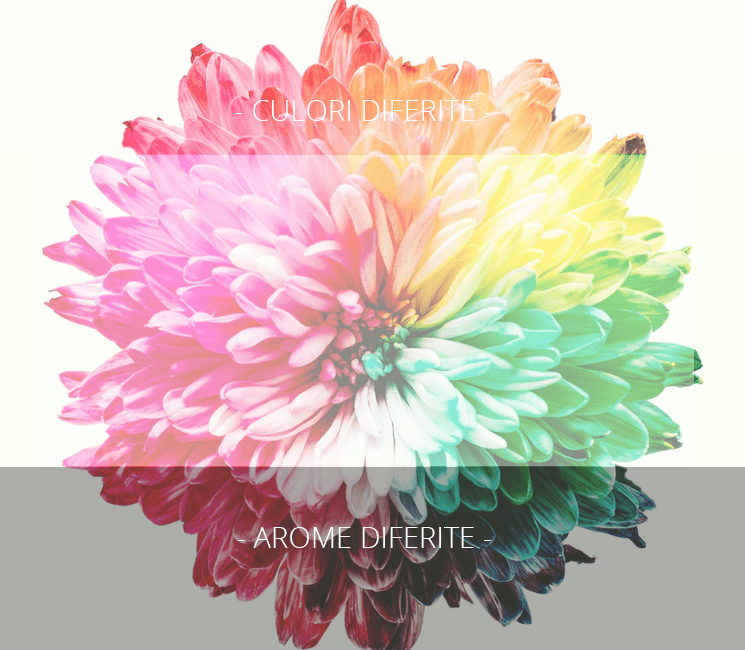 culori arome diferite